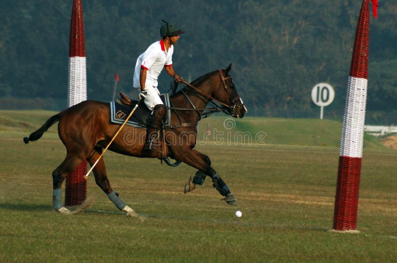 Polo Playing in KolkataIndia Editorial Stock Image Image of motion