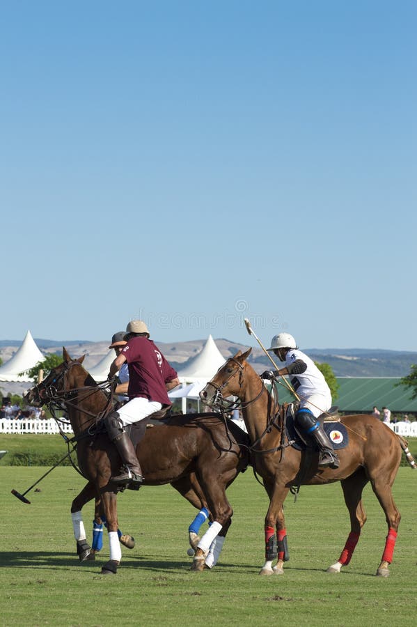 Polo, Spanish Championship editorial image. Image of player 194408155
