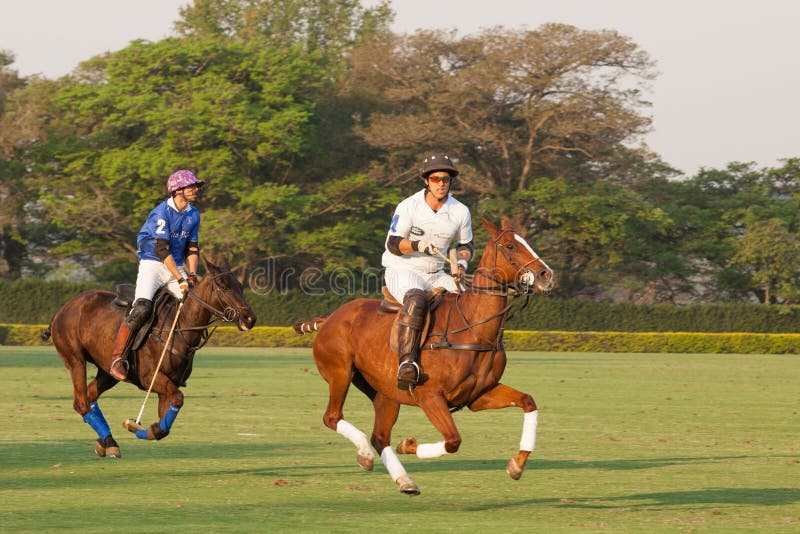 Polo turniej obraz royalty free Polo turniej obraz royalty free