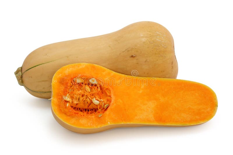Abóbora Butternut imagens de stock