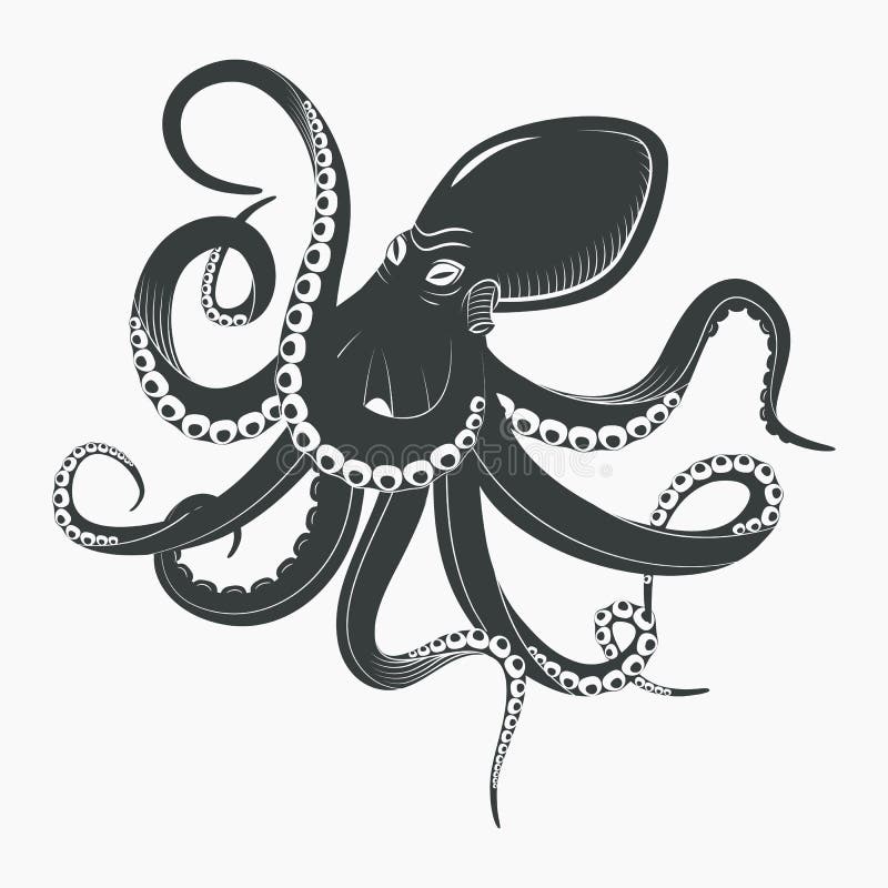 Polvo do oceano ou calamar subaquático ilustração royalty free Polvo do oceano ou calamar subaquático ilustração royalty free