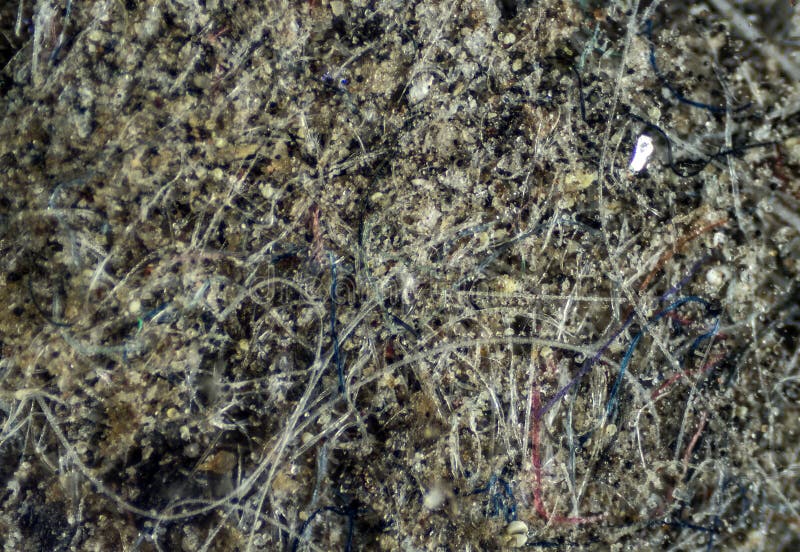 Resultado de imagen de polvo al microscopio