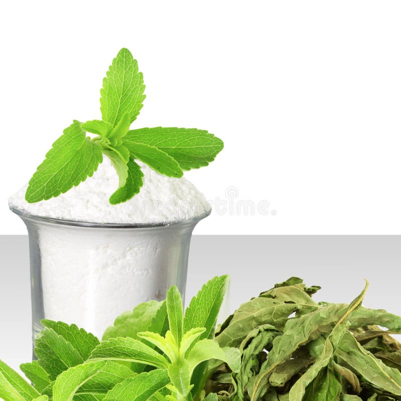 Polvo verde y secado fresco del Stevia y del extracto en el fondo blanco imágenes de archivo libres de regalías Polvo verde y secado fresco del Stevia y del extracto en el fondo blanco imágenes de archivo libres de regalías