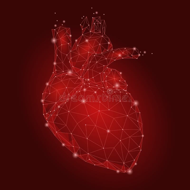 Poly mänsklig triangel för inre organ för hjärta lågt Förbindelseillus för kroppsdel för medicin för modell för teknologi 3d för vektor illustrationer Poly mänsklig triangel för inre organ för hjärta lågt Förbindelseillus för kroppsdel för medicin för modell för teknologi 3d för vektor illustrationer