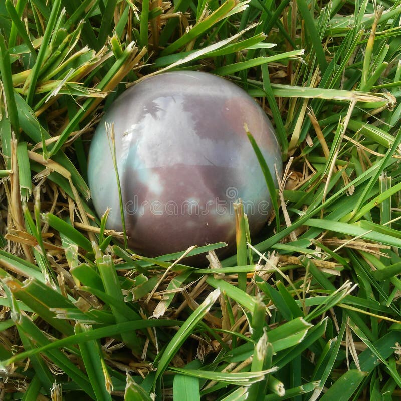 Polychrome Jasper