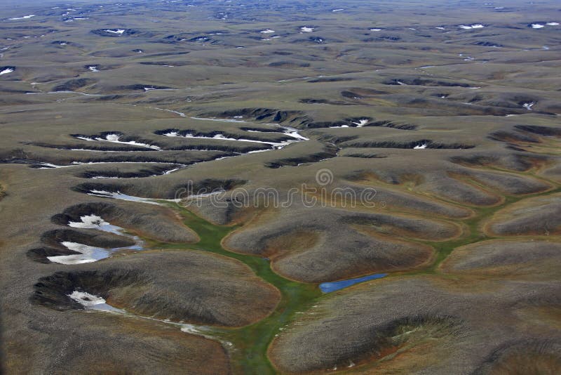 Polygonal tundra landscape in summer