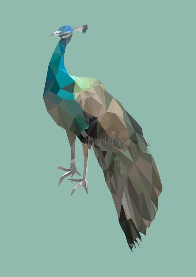 Polygonal πουλί peacock, πολυ χαμηλό αφηρημένο ζώο, διάνυσμα διανυσματική απεικόνιση