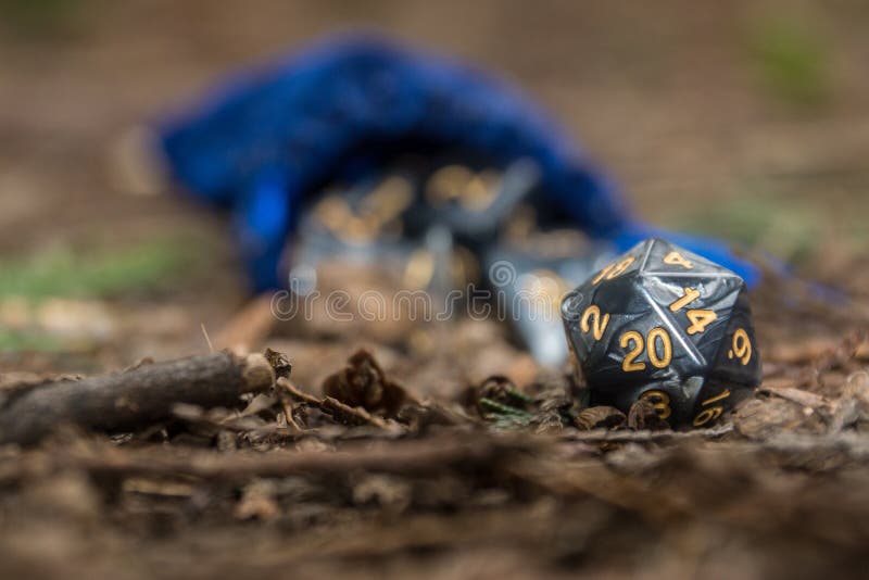 Polyhedral dice in a woodland environment