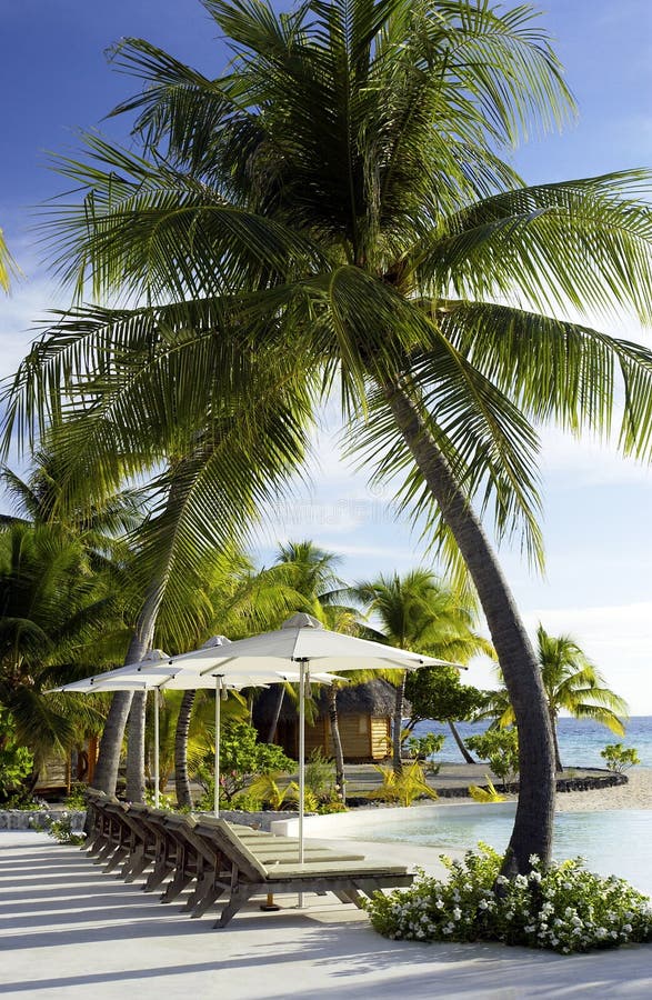 polynesia francuski luksusowy kurort Tahiti obrazy royalty free polynesia francuski luksusowy kurort Tahiti obrazy royalty free