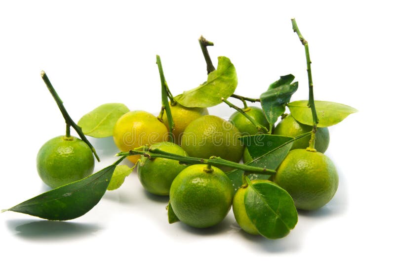 Pomarańcz owoc odizolowywać na bielu zdjęcia stock Pomarańcz owoc odizolowywać na bielu zdjęcia stock