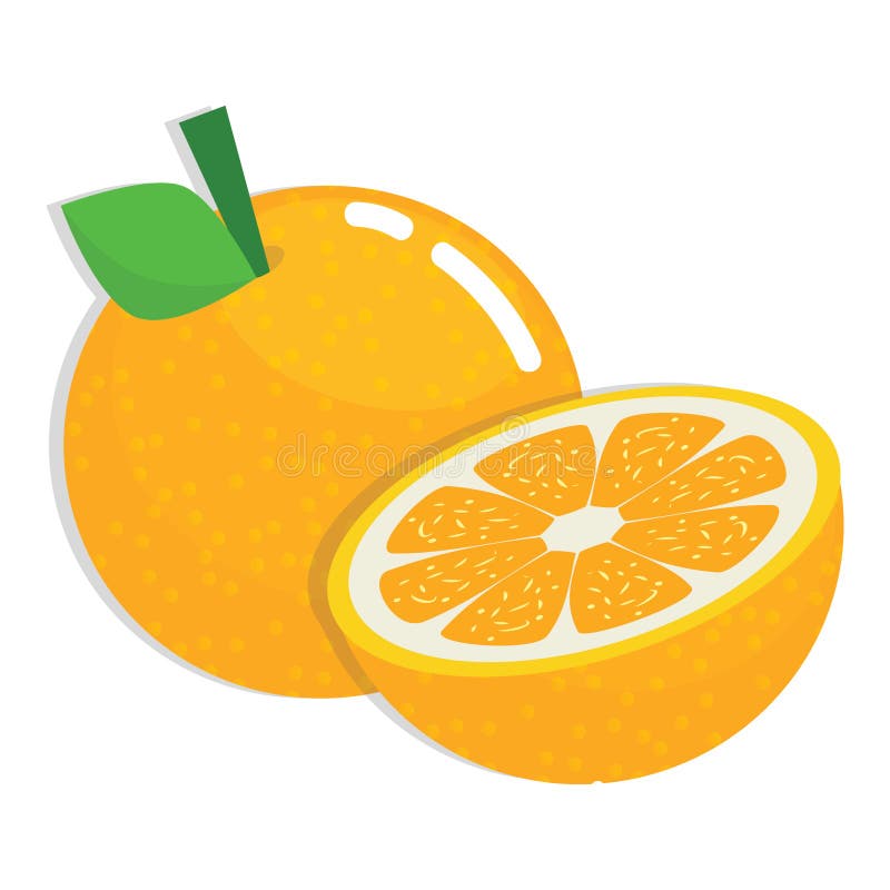 One and Half Fresh Orange Fruit Cartoon Illustration. One and Half Fresh Orange Fruit Cartoon Illustration