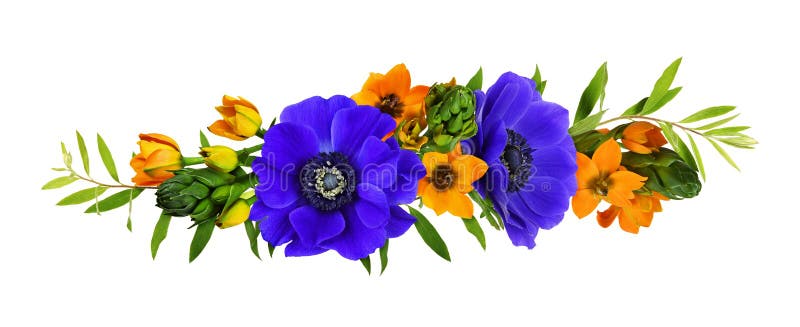 Pomarańczowe kwiaty pomarańczowe i niebieskie anemony w układzie kwiatów
