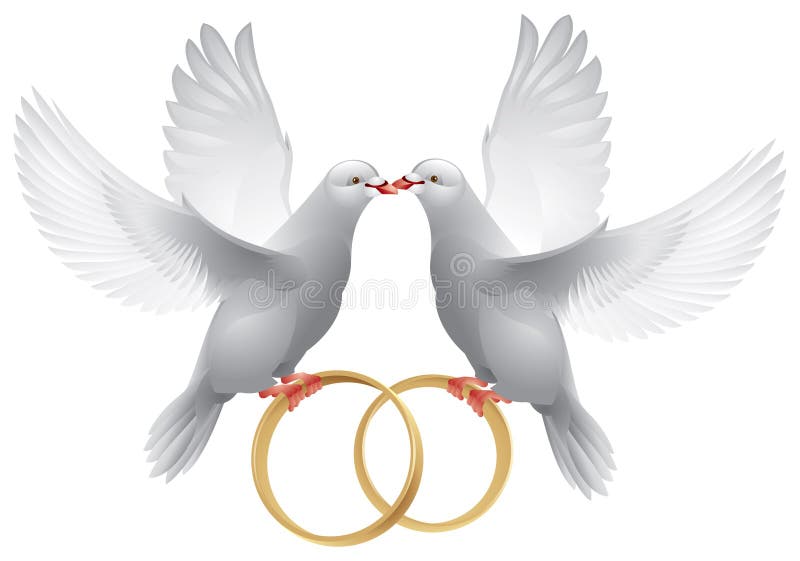 Pombas do casamento com anéis ilustração royalty free Pombas do casamento com anéis ilustração royalty free