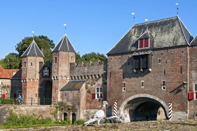 Pombos na frente da porta Koppelpoort Amersfoort da cidade imagens de stock Pombos na frente da porta Koppelpoort Amersfoort da cidade imagens de stock