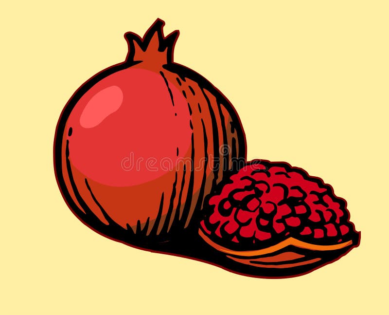 Pomegranat Rysowanie ręczne Ustaw: cała i pocięta Rysowanie czarno-białe monochromatyczne w kolorze Dojrzałe, egzotyczne owoce - ilustracji Pomegranat Rysowanie ręczne Ustaw: cała i pocięta Rysowanie czarno-białe monochromatyczne w kolorze Dojrzałe, egzotyczne owoce - ilustracji