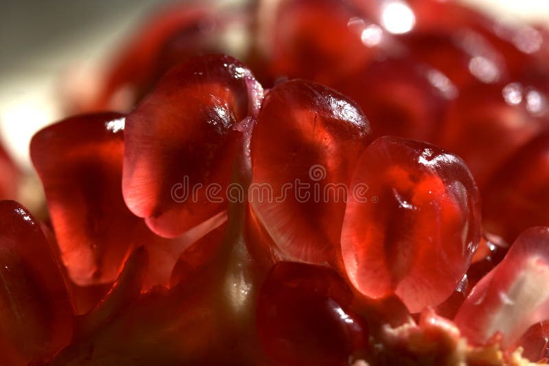 Pomegranate