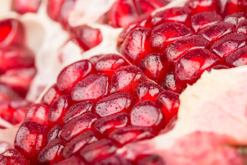 Pomegranate