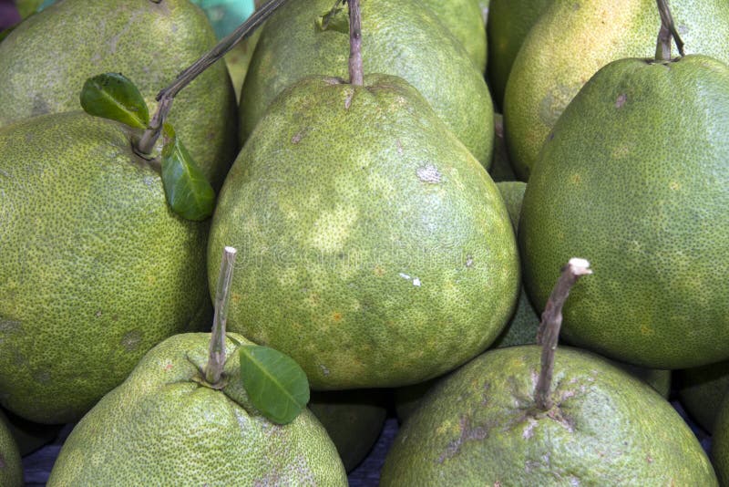 Pomelo ,fruit of Thailand stock image. Image of fruit 13905519
