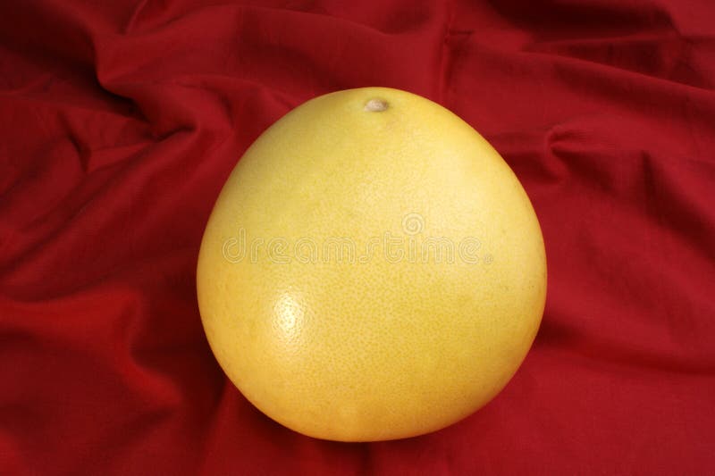 Pomelo Fruit is Rich in Vitamin C Stock Image Image of sour, healthy