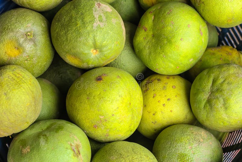 Pomelo fruit stock image. Image of healthy, asian, orange 45808721