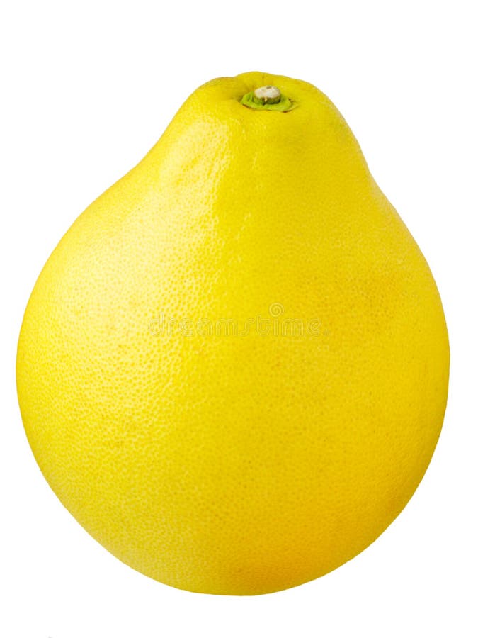 Pomelo grapefruit stock photo. Image of large, yellow 18288008