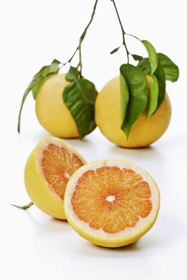 Pomelo Grapefruits with Stem and Leaves, Cross Section Stock Photo
