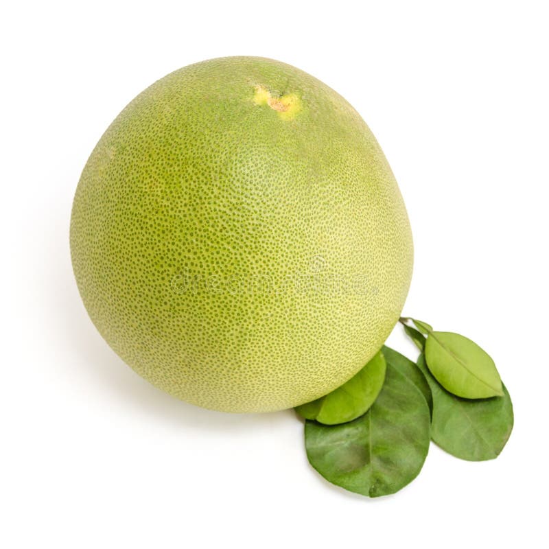 Pomelo o pomelo chino imagen de archivo. Imagen de detalle 32062613