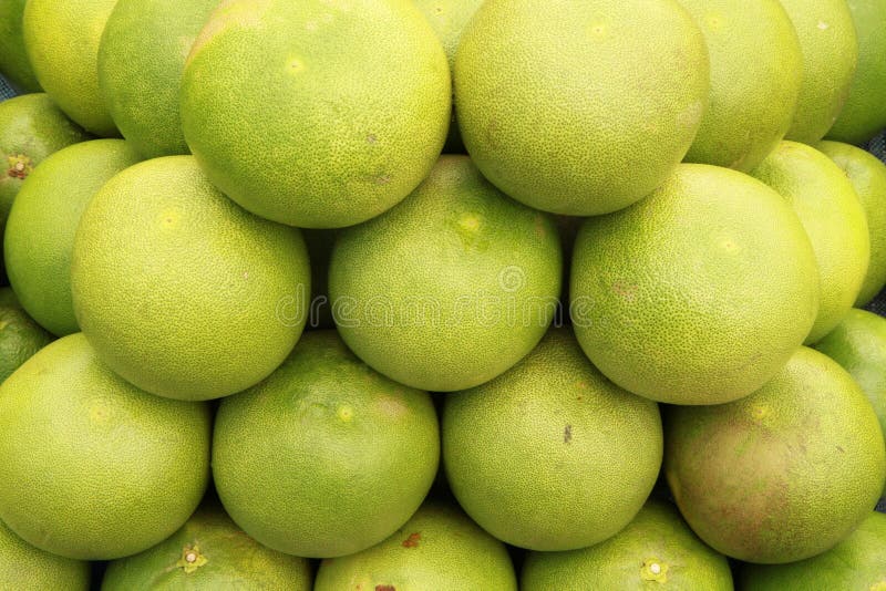 Pomelo ,tropical fruit stock photo. Image of plant, pineapple 19509634