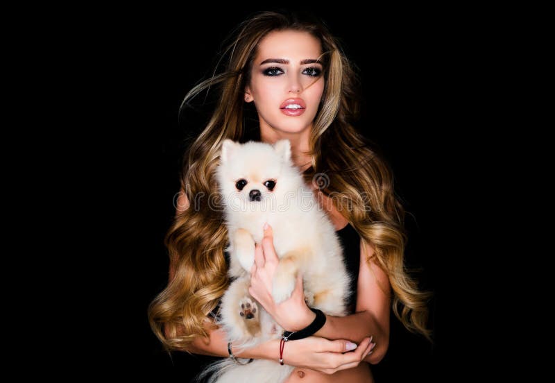 Pomeranian dog lub puppe pet. słodki domowy pies z piękną kobietą. kobieta z psem. portret pięknej modelki kobiecej. wysoki obrazy royalty free