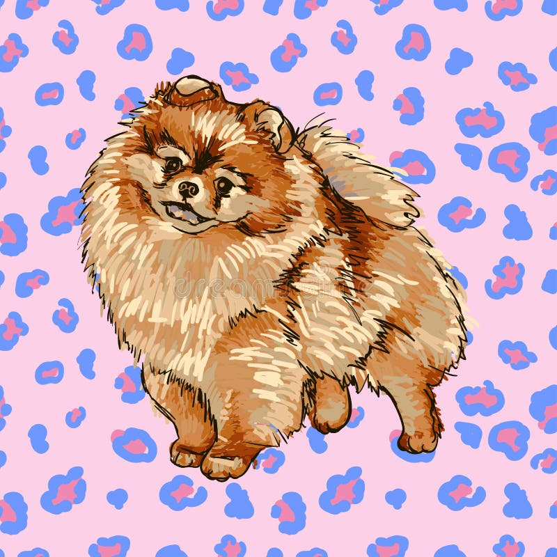 pomeranian spitz stock illustrationer pomeranian spitz stock illustrationer