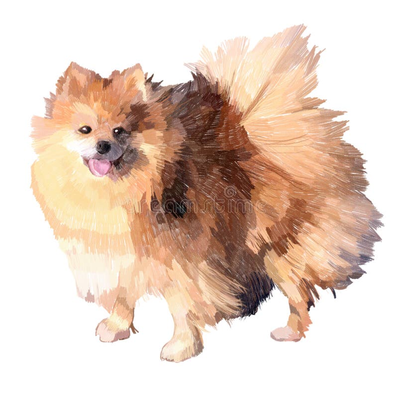 Featured image of post Pencil Japanese Spitz Pencil Cute Dog Drawing / Check out our pencil dog drawing selection for the very best in unique or custom, handmade pieces from our pet portraits shops.