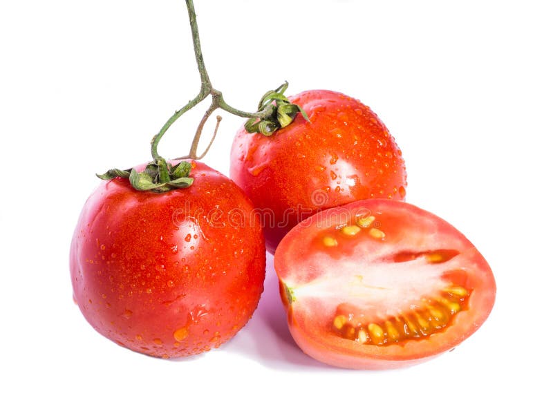  Pomidor zdjęcia stock