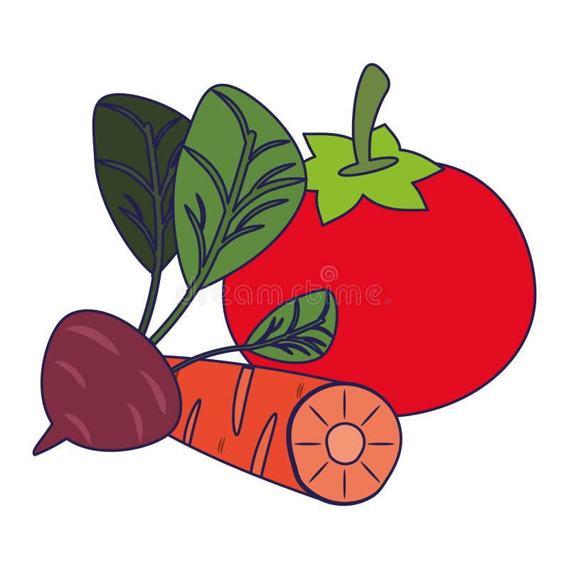 Pomidor i marchewka z rzodkwi niebieskimi liniami ilustracji Pomidor i marchewka z rzodkwi niebieskimi liniami ilustracji