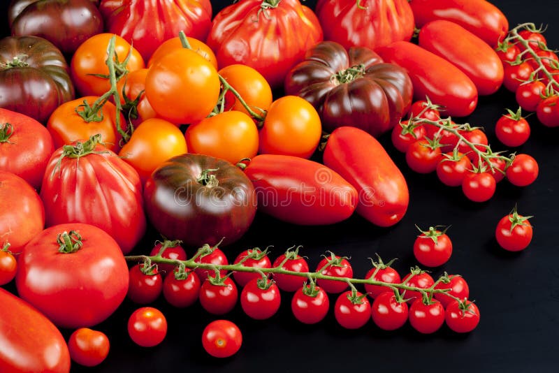 Still life of red and orange tomatoes. Still life of red and orange tomatoes