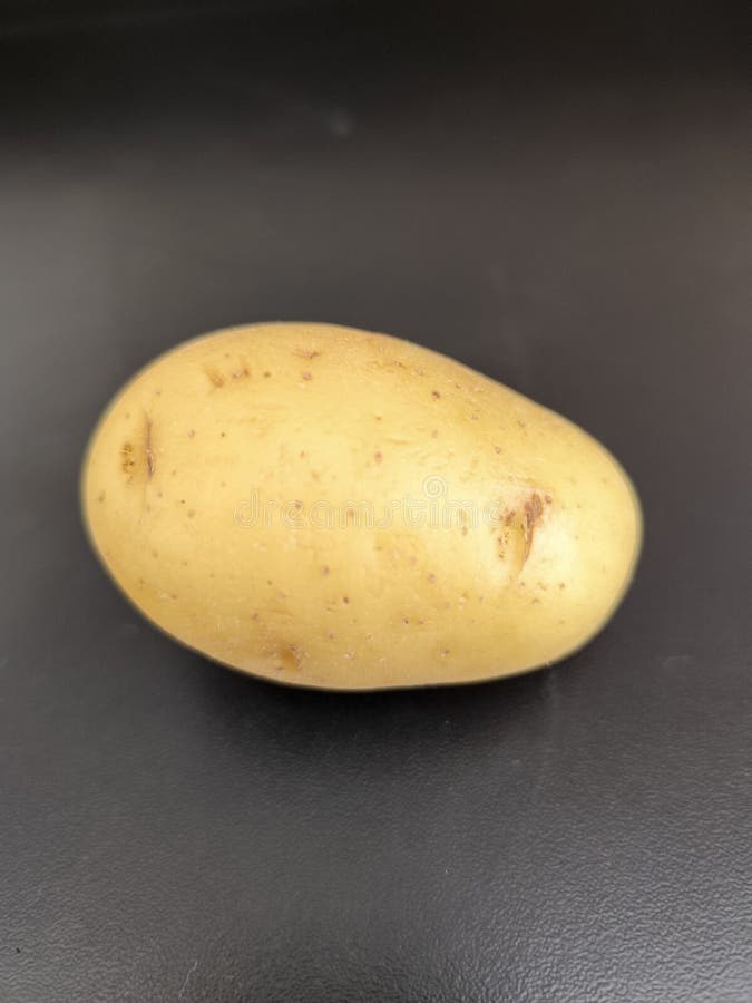 Pomme de terre fraîche sur fond noir. Pomme de terre fraîche unique affichée sur un fond noir mettant en évidence sa texture naturelle et ses tons terreux. Idéal pour l'agriculture alimentaire ou les thèmes de produits biologiques.