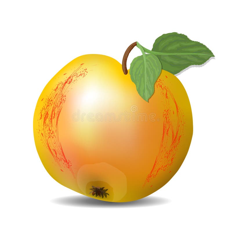 Pomme Jaune Disolement Avec La Texture Rouge Et Feuilles Vertes Fruit
