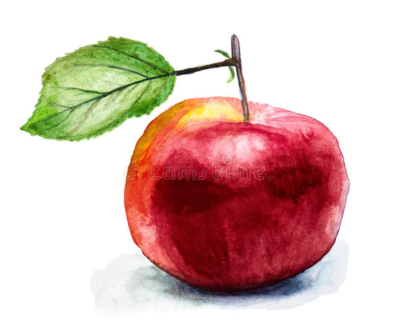 Pomme rouge tirée par la main d'isolement sur le blanc illustration stock Pomme rouge tirée par la main d'isolement sur le blanc illustration stock