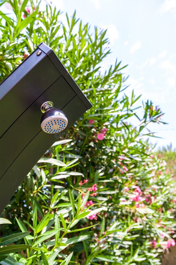Pommeau De Douche Dans Le Jardin Image stock Image du cieux, tête