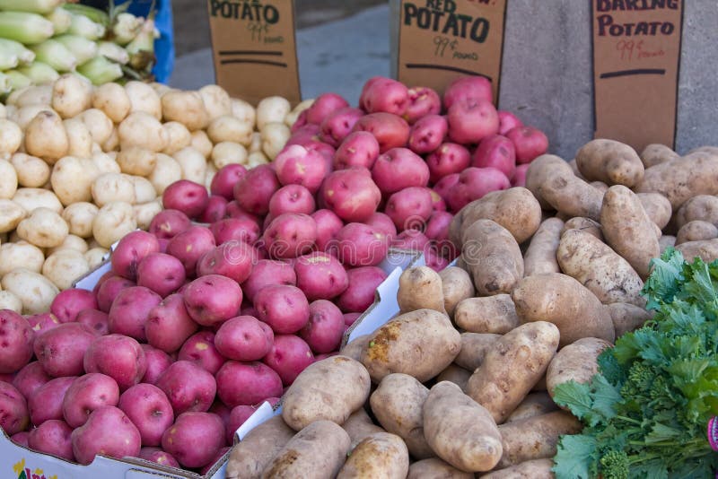 Pommes de terre photographie stock Pommes de terre photographie stock
