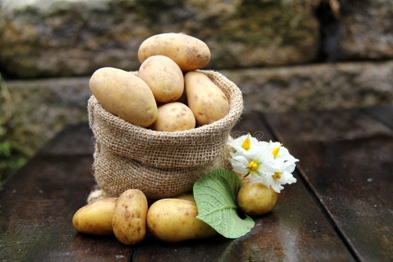 Patate Sac Toile De Jute Pomme De Terre Sac Pour Pommes De Terre