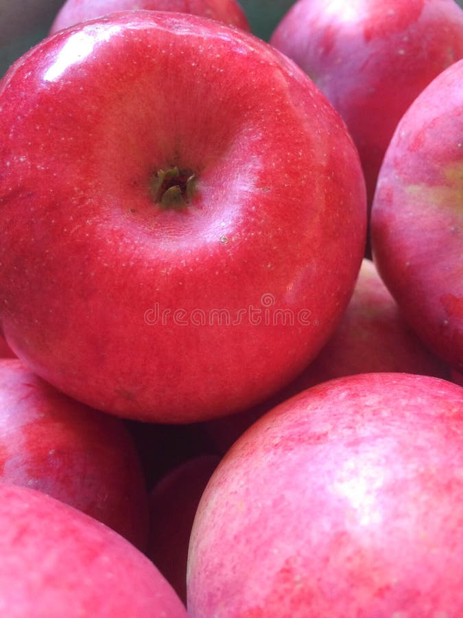 Pommes juteuses rouges photographie stock libre de droits Pommes juteuses rouges photographie stock libre de droits