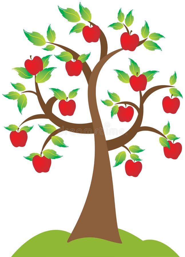 Pommier illustration de vecteur. Illustration du branchement 15010001