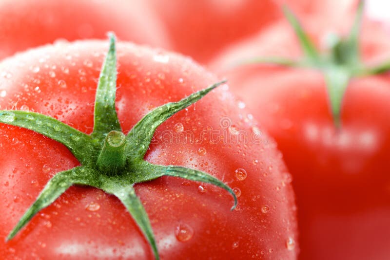Pomodori con le gocce dell'acqua fotografia stock libera da diritti Pomodori con le gocce dell'acqua fotografia stock libera da diritti