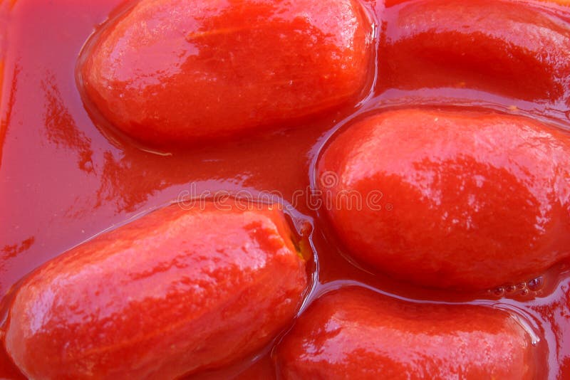 Pomodori di prugna immagine stock libera da diritti Pomodori di prugna immagine stock libera da diritti