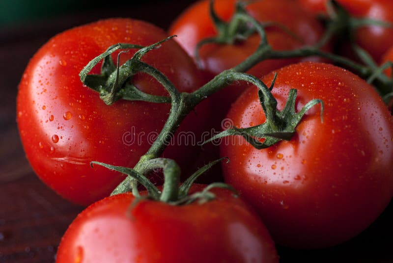 Pomodori freschi immagini stock Pomodori freschi immagini stock