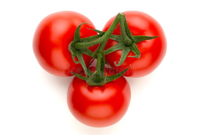 Pomodori freschi isolati su priorità bassa bianca fotografia stock libera da diritti Pomodori freschi isolati su priorità bassa bianca fotografia stock libera da diritti