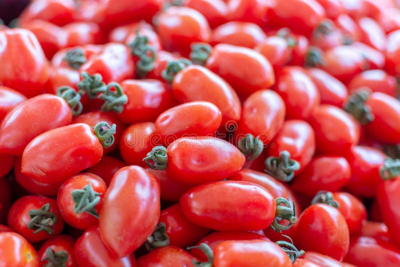 Pomodori maturi rossi sulla fine del mercato dei farmets su immagine stock libera da diritti Pomodori maturi rossi sulla fine del mercato dei farmets su immagine stock libera da diritti