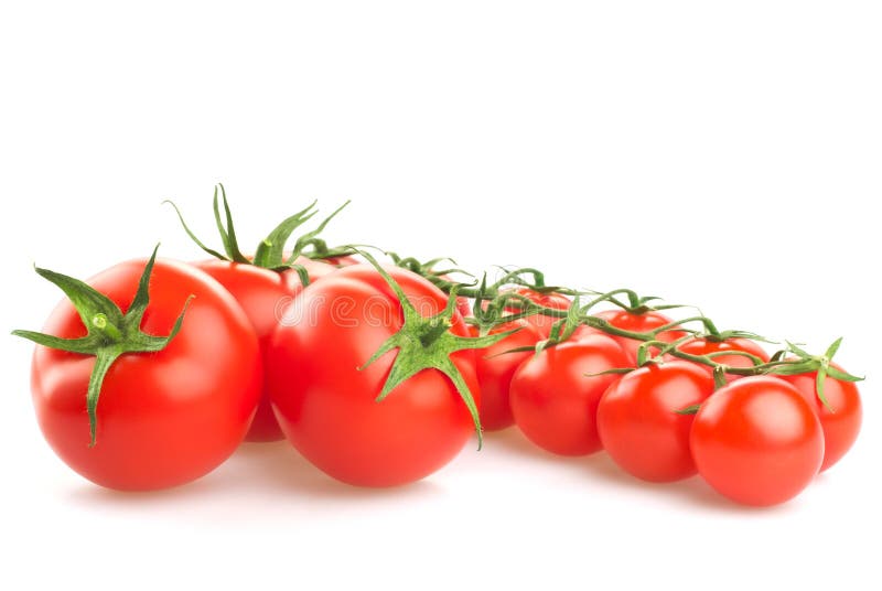 Pomodori rossi su fondo bianco fotografie stock Pomodori rossi su fondo bianco fotografie stock
