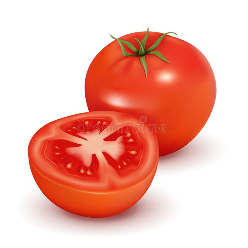 Pomodoro royalty illustrazione gratis