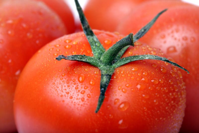Pomodoro immagine stock libera da diritti Pomodoro immagine stock libera da diritti